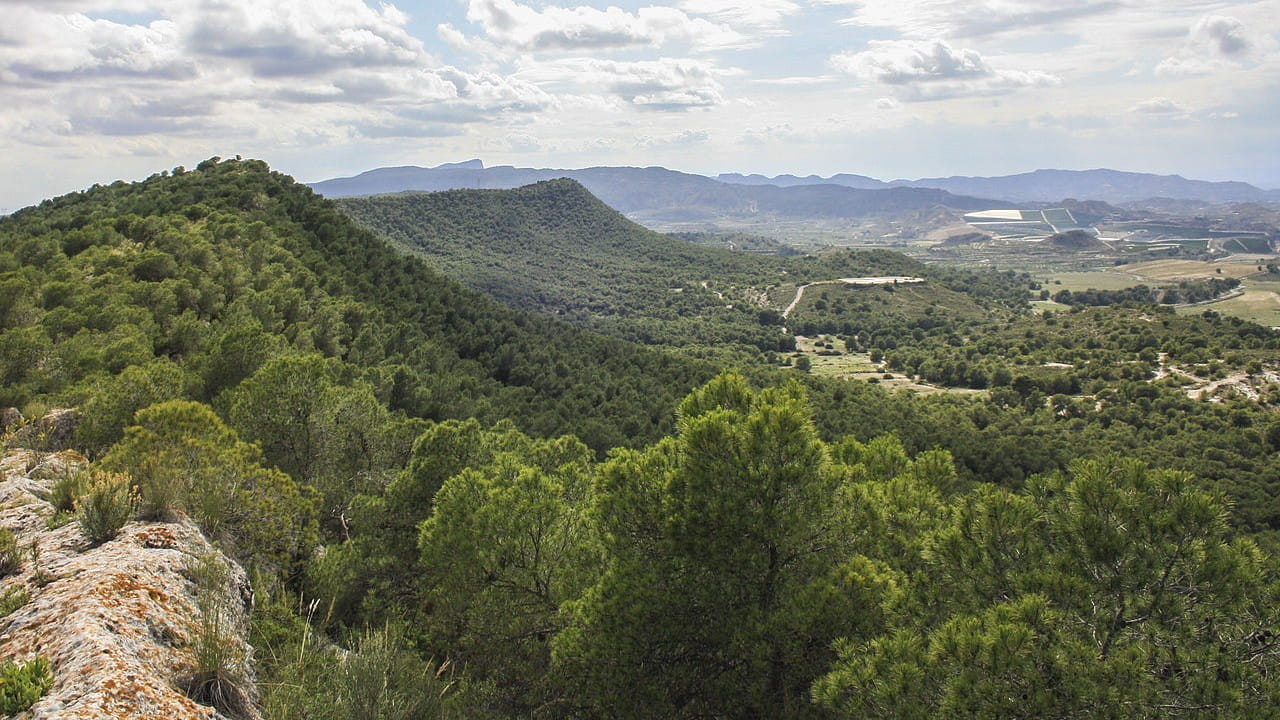 A Green Oasis by the Mediterranean