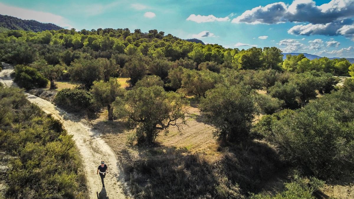 Paraje Natural y rutas de senderismo