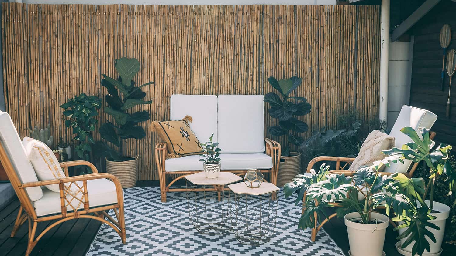 Plants on Terraces and Solariums