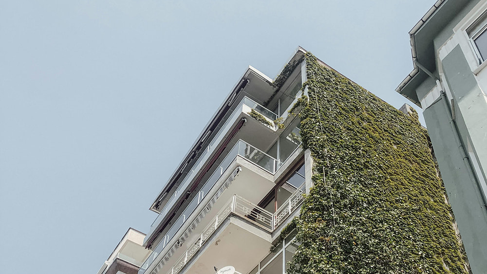 Plants on Terraces and Solariums